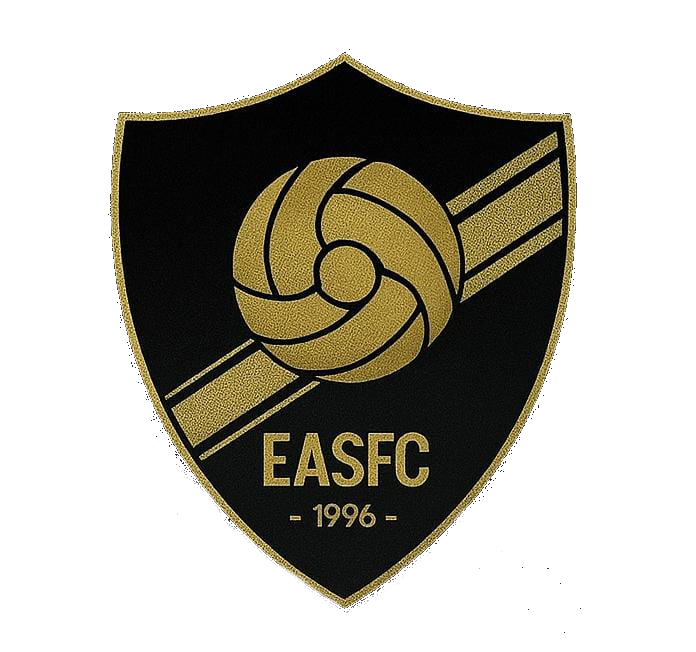 Logo EFE Latin